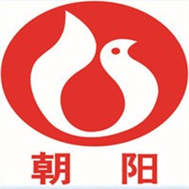 朝陽泵業(yè)QZ軸流、QH混流潛水電泵